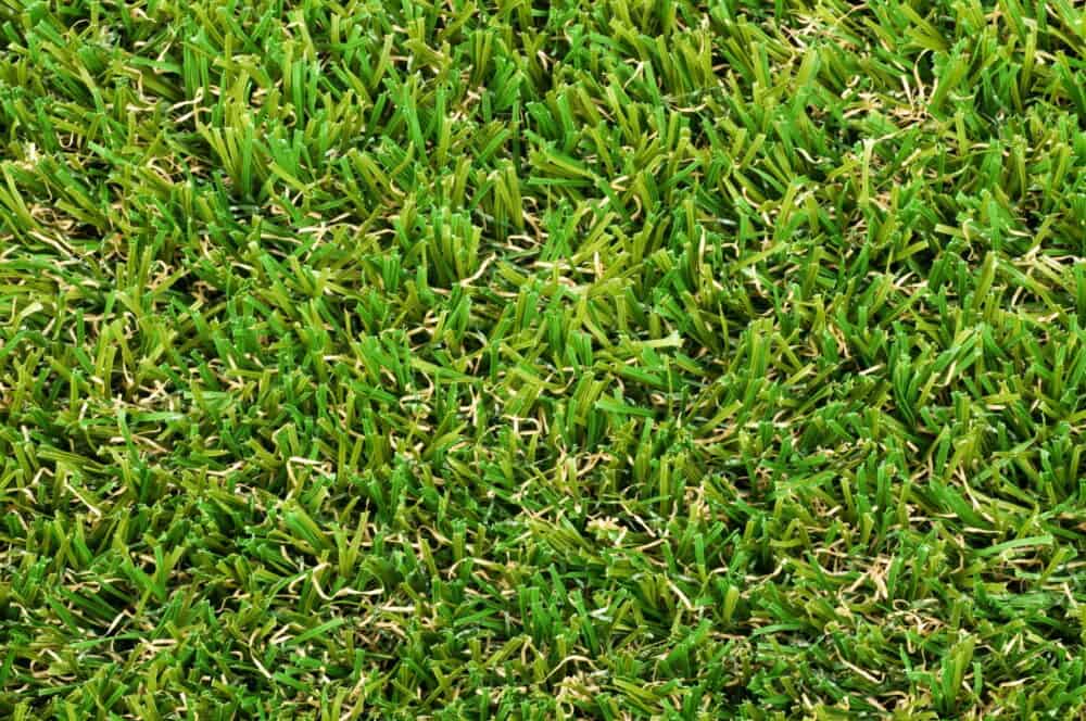 Forever Green Artificial Grass