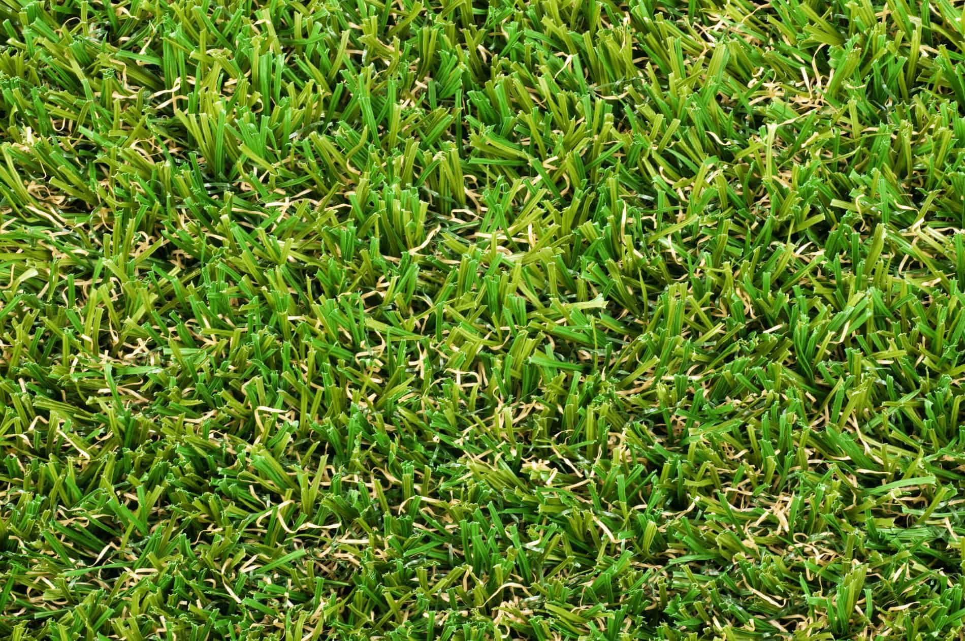 Forever lawns deals